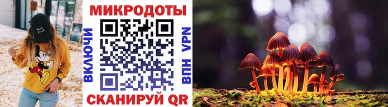 Псилоцибиновые грибы мицелий  Курлово 
